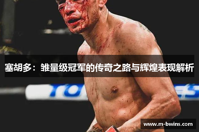 塞胡多：雏量级冠军的传奇之路与辉煌表现解析