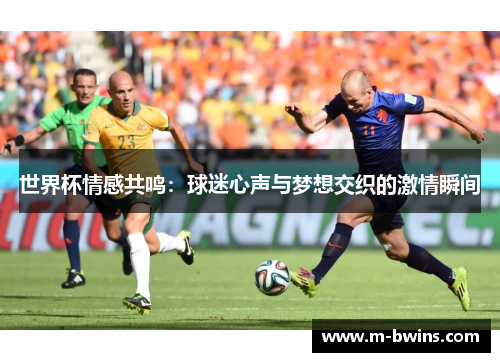 世界杯情感共鸣：球迷心声与梦想交织的激情瞬间