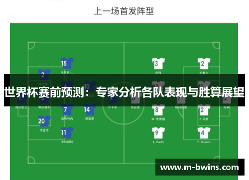 世界杯赛前预测：专家分析各队表现与胜算展望