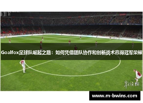 Goalfox足球队崛起之路：如何凭借团队协作和创新战术赢得冠军荣耀