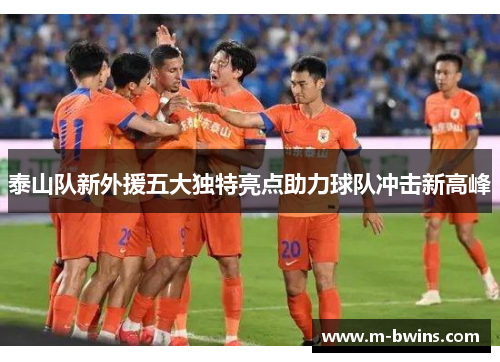 泰山队新外援五大独特亮点助力球队冲击新高峰