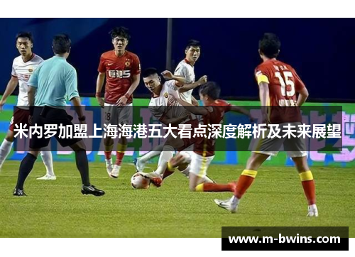 米内罗加盟上海海港五大看点深度解析及未来展望