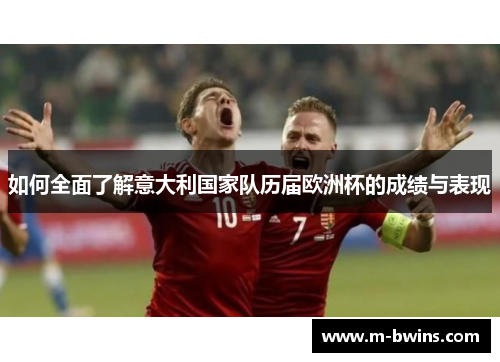 如何全面了解意大利国家队历届欧洲杯的成绩与表现