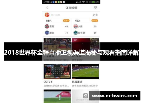 2018世界杯全程直播卫视渠道揭秘与观看指南详解
